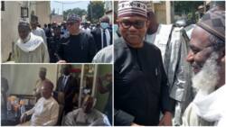 "Do whatever you can to win": Heated reactions as Peter Obi meets with Sheikh Gumi in Kaduna, photos emerge