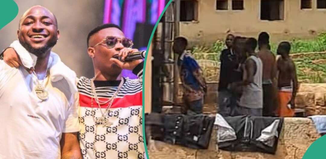 Watch video of neighbours tackling each other over Davido and Wizkid