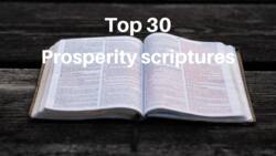 Top 30 list of inspiring prosperity scriptures