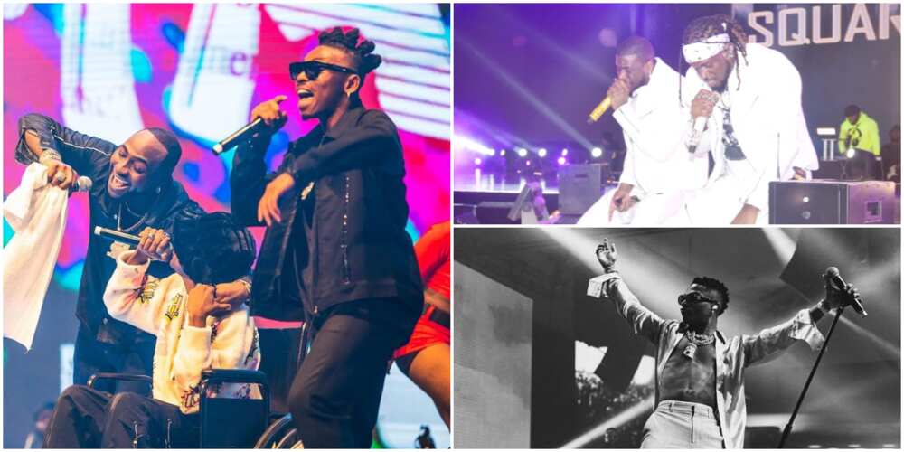 Unforgettable moments from Davido, Wizkid, other music stars concerts