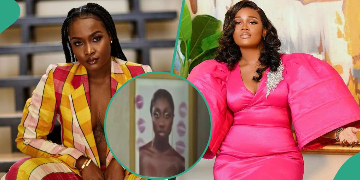 BBN All Stars Ilebaye and CeeC Have Heated Fight Over Doyin’s Photo ...