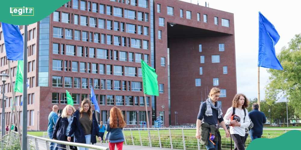 Netherlands invites Nigerians to apply for fully-funded scholarship