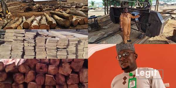 Meet Nigerian graduate who shunned white-collar job; hitting big in sawmilling business