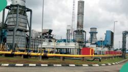 Nigeria's first integrated power plant begins operation in Eastern Nigerian state