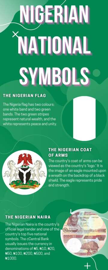 11-national-symbols-of-nigeria-and-their-meanings-explained-legit-ng