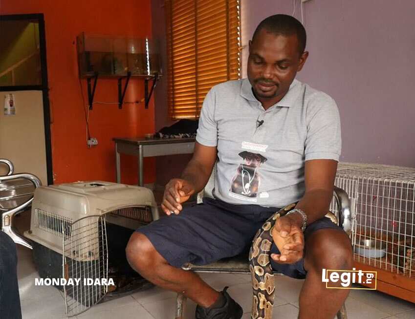Meet the Nigerian vet who rescues and shelters animals
