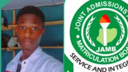 JAMB 2024: Arts student shares his UTME result, asks if he can study political science with it