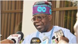 2023 presidency: Forget media report, this is our true position on Tinubu, Miyetti Allah reveals