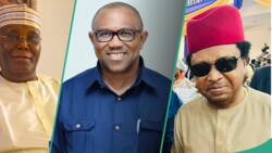 Jam'iyyun Labour, PDP Na Shirin Hadewa Waje Daya? Shehu Sani Ya Yi Sharhi