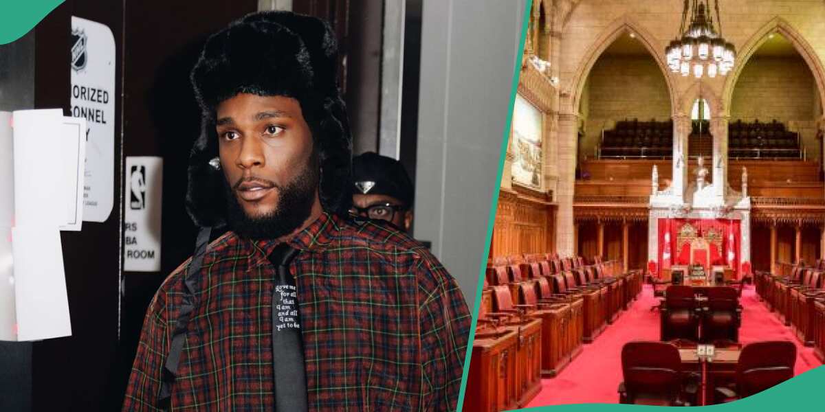 You need to see what a man said about Burna Boy after Canadian senate applauded his impact