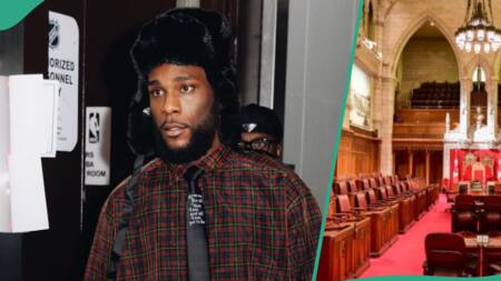 "His statue should be in museums": Man praises Burna Boy after Canadian Senate mentioned his impact