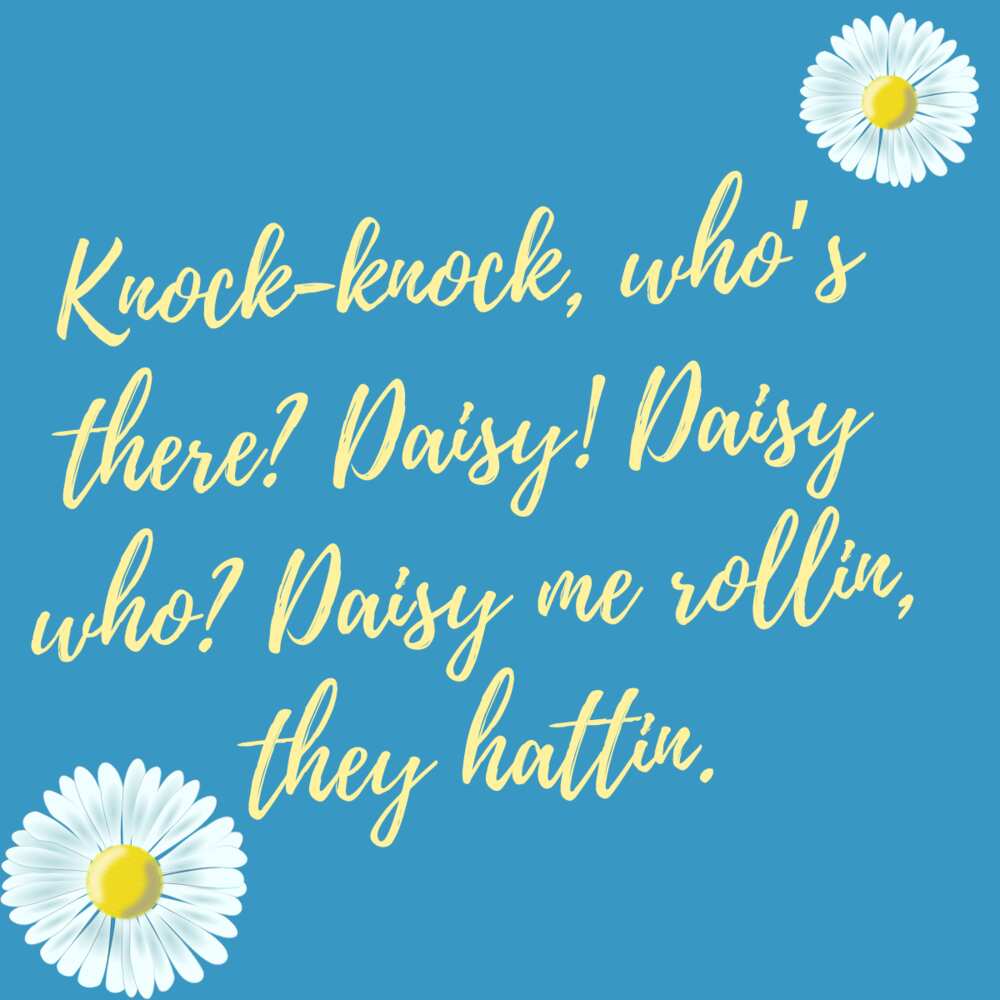 flower captions puns flower captions puns
