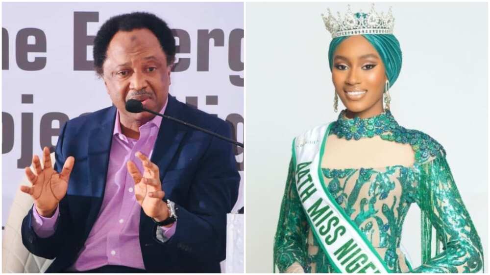Miss Nigeria: Shehu Sani Reacts as Hisbah Moves to Invite Shatu Garko’s Parents