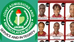 JAMB 2024: 10 brainy students of same Lagos school score 303 and above in UTME, photos emerge