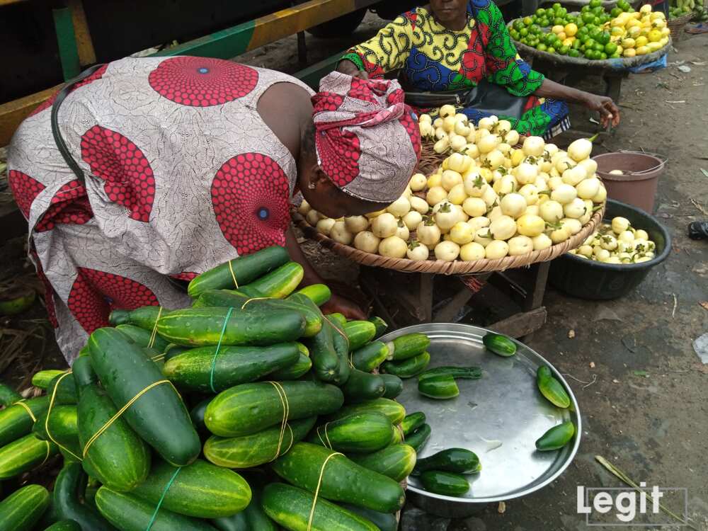 Cucumber on display from N50 and N100 upwards at Jakande market, Ketu, Lagos. Photo credit: Esther Odili Cucumber on display from N50 and N100 upwards at Jakande market, Ketu, Lagos. Photo credit: Esther Odili