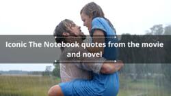 50 iconic The Notebook quotes from the movie and novel