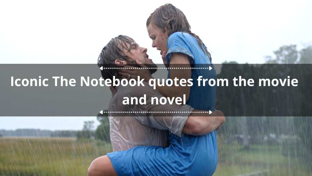 quotes from the notebook