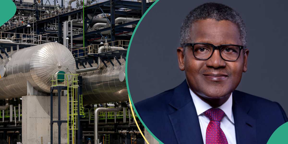 Jubilation as Dangote Refinery crashes diesel price to marketers