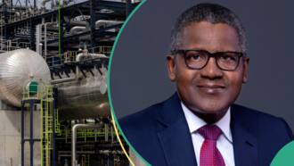 No more N1,200 per litre: Dangote crashes diesel price for marketers by 16.6 per cent