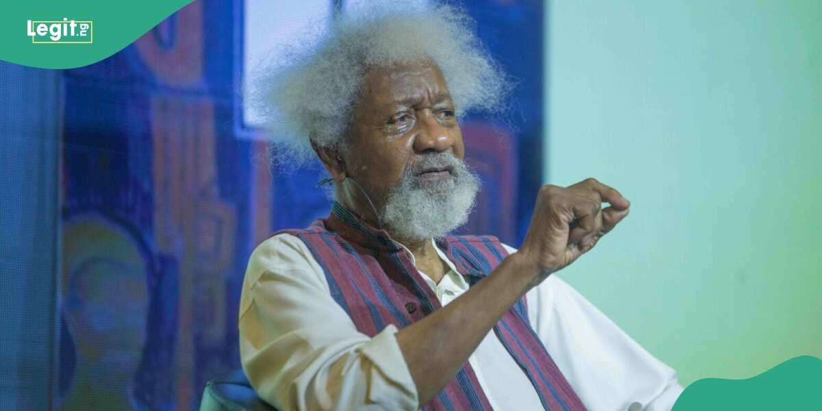 Nigerians divided over plans for Wole Soyinka's 90th birthday
