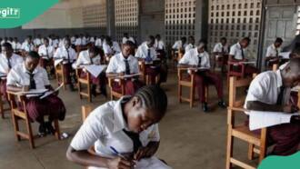 “50,066 students score five credits in Maths, English”: NECO gives breakdown of SSCE results