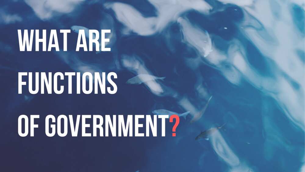 Major functions of government in a state Major functions of government in a state