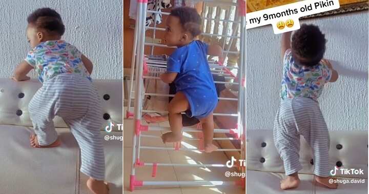 9-month-old boy climbs ladder