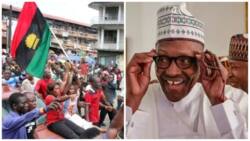 Finally fate of Boko Haram, IPOB members revealed in new law signed by Buhari