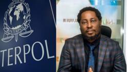 CEO of HO Corn, Harrison Osemwengie, who Promised 50 Per cent ROI to investors declared Wanted by Interpol