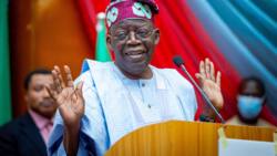 2023: Fresh crisis looms in APC as governors, top party chieftains clash over Tinubu’s campaign list