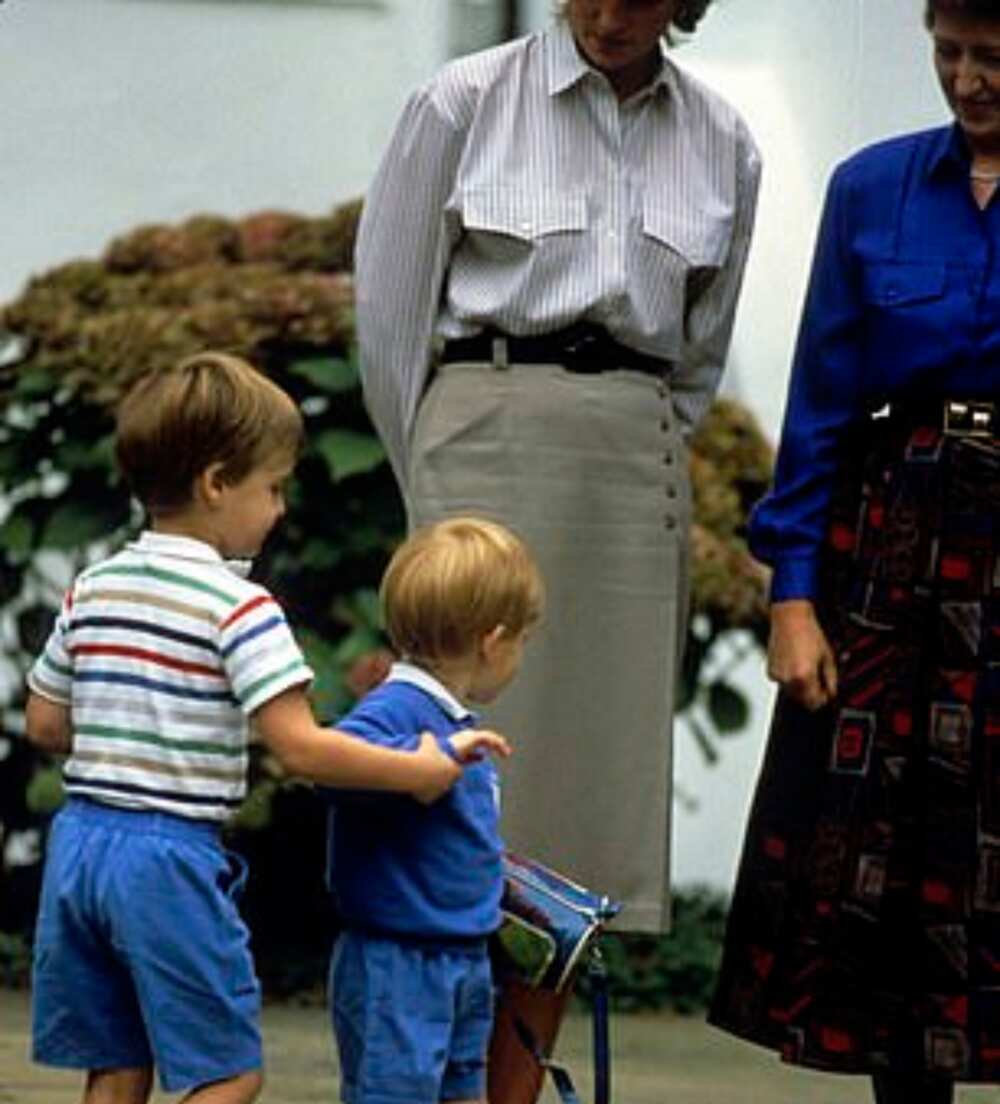 Pictures show how the bond between William and Harry was once special