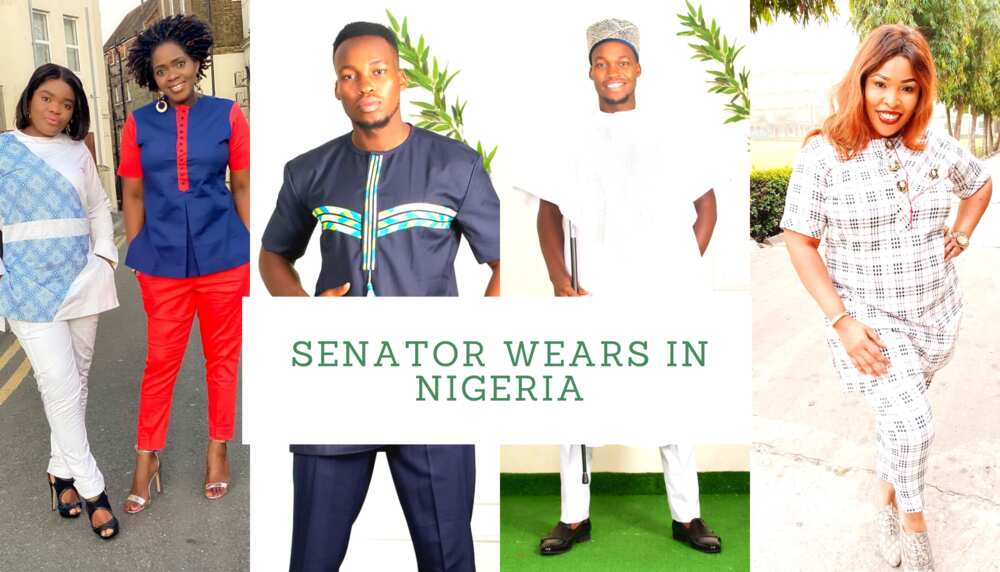 Senator wears