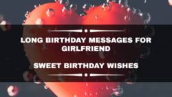 100+ Long birthday messages for girlfriend: sweet birthday wishes