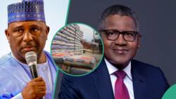 Reactions as House of Reps summons BUA, Dangote, others over new cement price