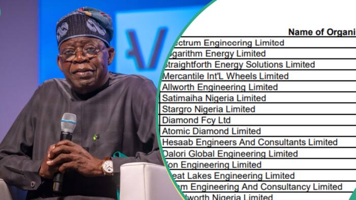 Full list: FG releases names of companies qualified to apply for government contracts in 2024