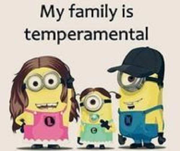 30 Funniest Minion Memes Every Facebook Mom Will Be Obsessed With Legit Ng