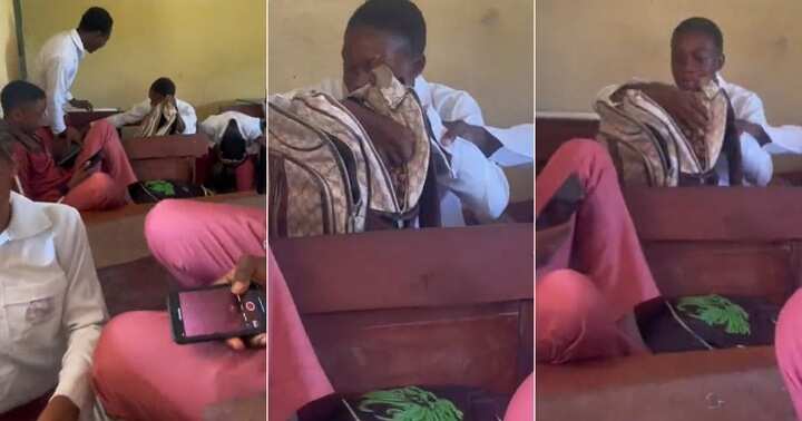 Watch video of moment a secondary school boy arrived school with palm fruits