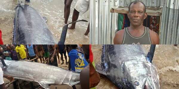 How Rivers fisherman killed mysterious swordfish; man narrates as photos, video go viral; cause stir