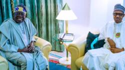 2023 election: Presidency finally reveals Buhari's position on Tinubu's ambition