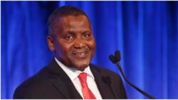 Aliko Dangote to pocket N293bn from his cement company, an amount more than the budget size of 25 states