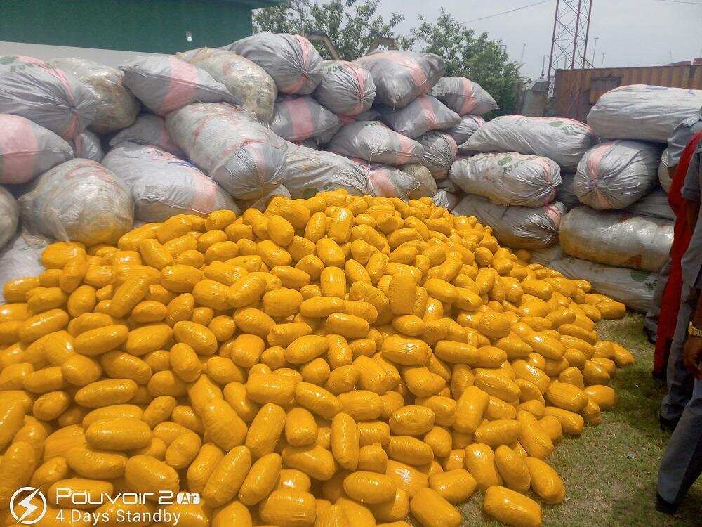Ba Za Mu Lamunci Halasta Shan Tabar Wiwi Ba a Nigeria, NDLEA Ba Za Mu Lamunci Halasta Shan Tabar Wiwi Ba a Nigeria, NDLEA