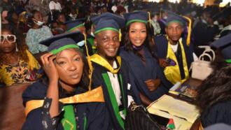 TASUED portal: login for fresh and returning students, admission (2024)
