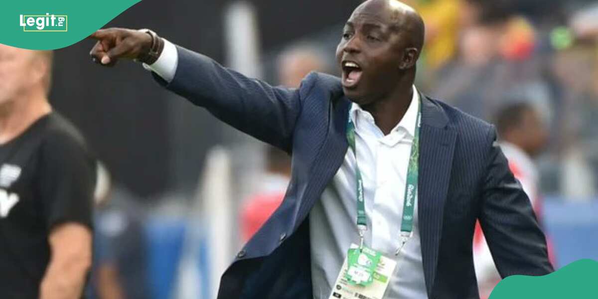 Nigerians mention one Ligue 1 legend as right man for Super Eagles coach's job