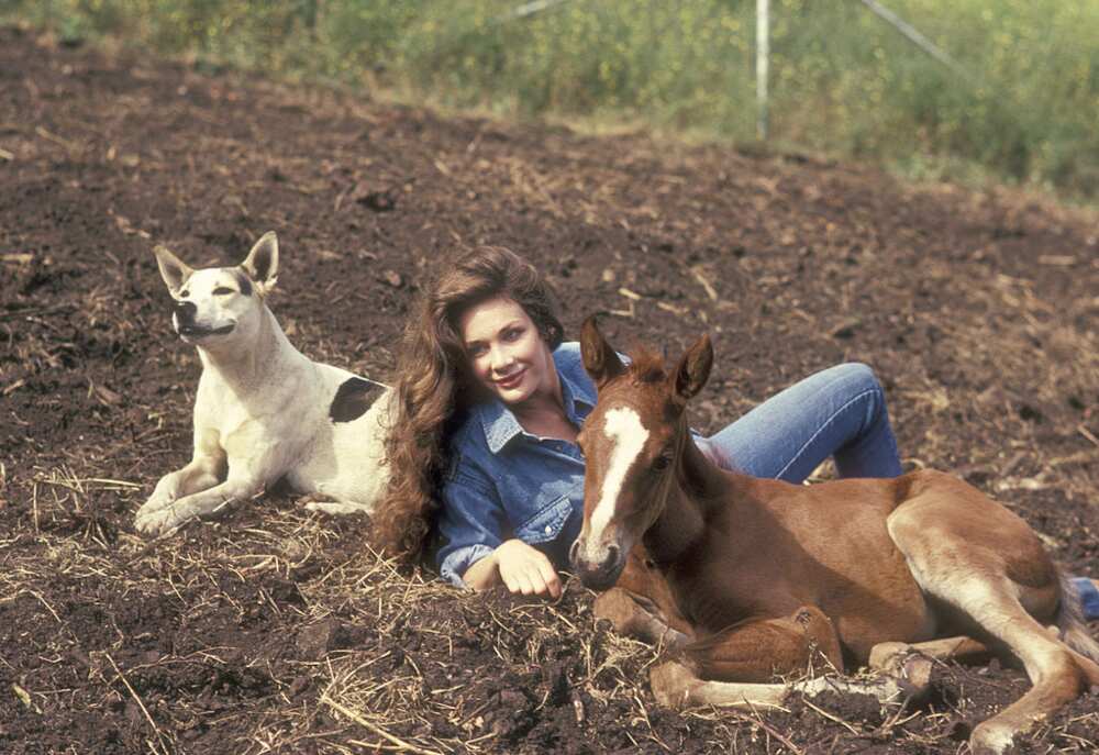 Mary Crosby hot Mary Crosby hot