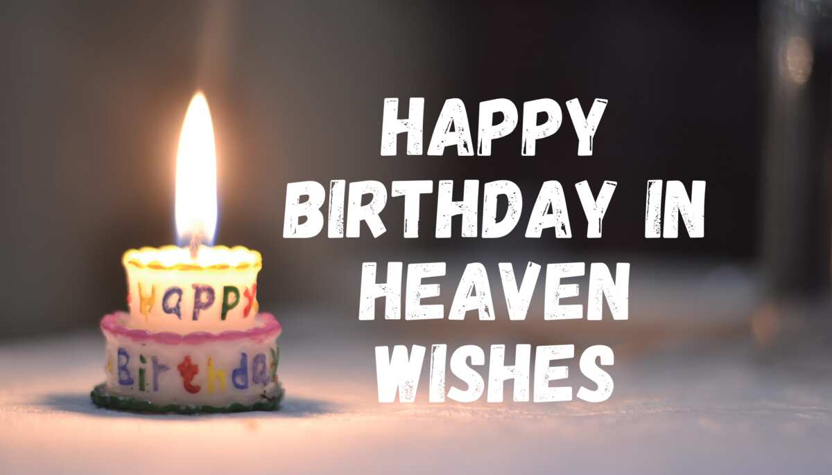 50 best happy birthday in heaven wishes for someone special - Legit.ng
