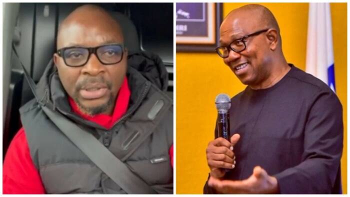 Finally, Fayose explains why APC is having sleepless nights over Peter Obi's political ambition