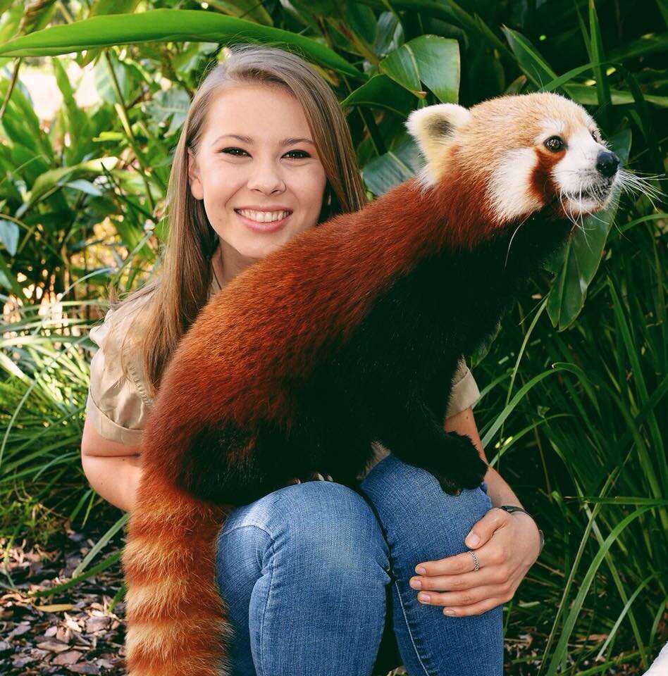Bindi Irwin hot Bindi Irwin hot