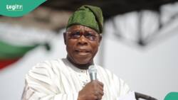 Over 80% of crude oil stolen: Obasanjo speaks amid economic hardship in Nigeria
