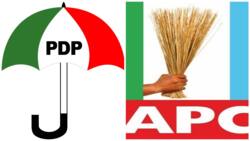 2023: Massive blow for PDP as 70 Gombe chieftains dump party, defect to APC