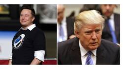 Elon Musk will lift Donald Trump Twitter suspension when deal is finalised